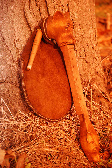 wp48a1a2cb_0f.jpg